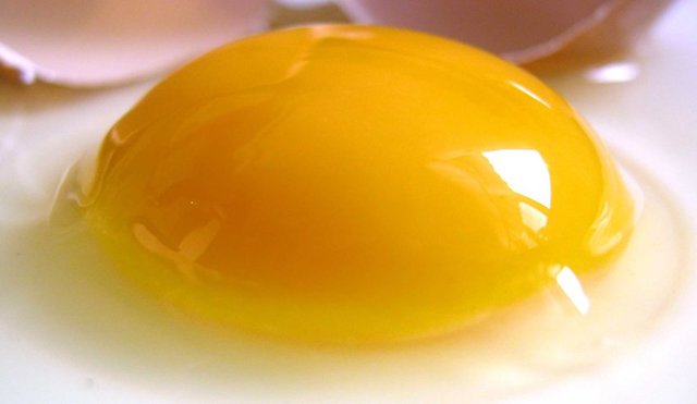 Продукты повышающие холестерин в крови у женщин и у мужчин