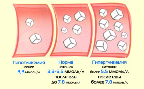 Сколько делается анализ крови на сахар | Все об эндокардите
