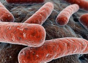 Боль в сердце при кашле - Всё о сердце