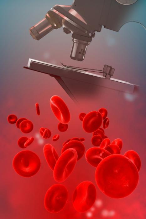 Первая отрицательная группа крови у мужчин и женщин