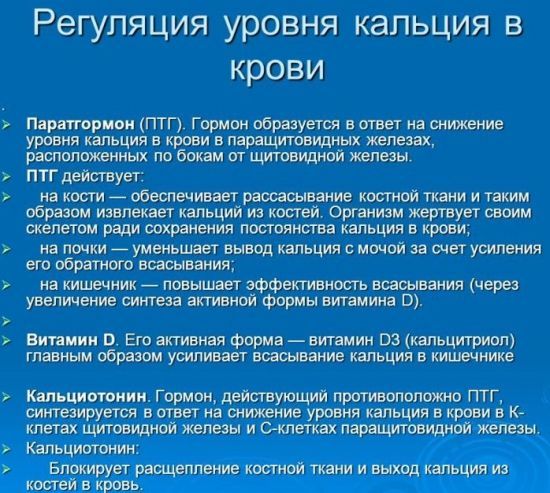 Анализ крови на общий кальций и ионизированный: что это такое, в чем разница, срок годности при остеопорозе