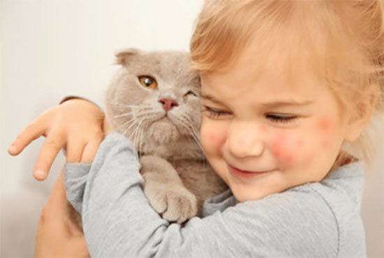 Аллергия на кошек у детей симптомы и лечение