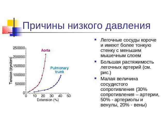 Первая помощь при низком давлении: что делать при гипотонии