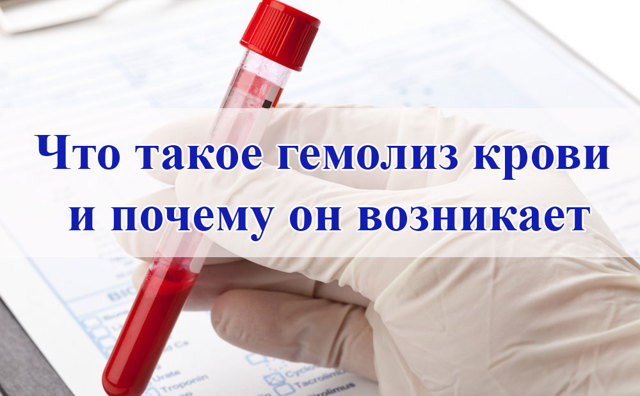 Что такое гемолиз крови и почему он возникает?