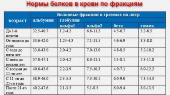 Общий белок в крови повышен – причины, симптомы и лечение патологии