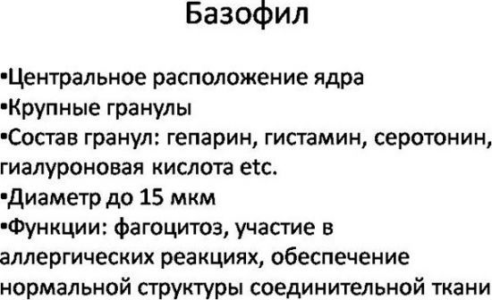 Что делать, если у ребенка повышенные базофилы