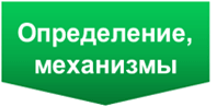 Синдром wpw на ЭКГ: что это? Рекомендации кардиолога