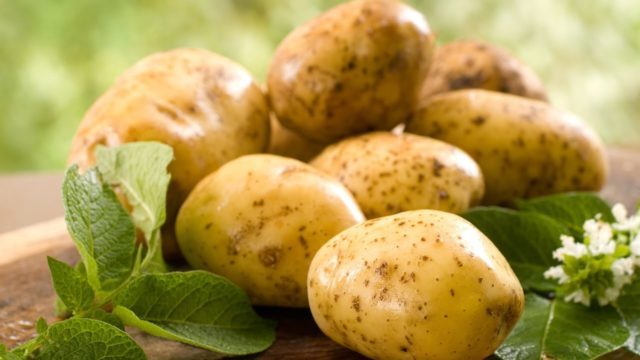 Лечение геморроя в домашних условиях быстро картофелем