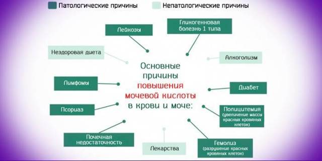 Мочевая кислота составляет уменя 755 что делать. Какая норма мочевой кислоты в крови мужчин, женщин и детей