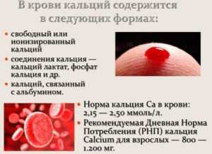 Узнаем, что означает повышение или понижение уровня кальция в крови? Понижен кальций в крови что это значит