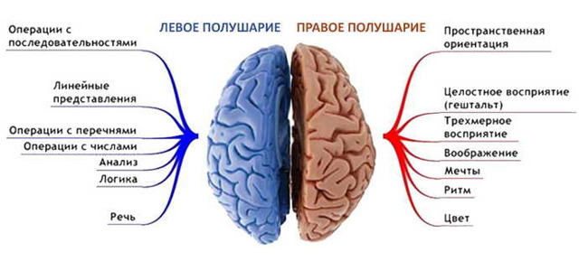 Инсульт левая или правая сторона, последствия, сколько живут