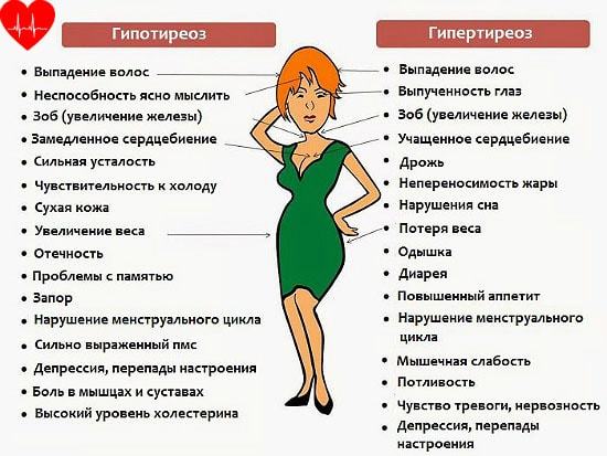Если сердце быстро бьется — Сердце