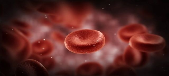 Плазма и форменные элементы крови: эритроциты, лейкоциты, тромбоциты