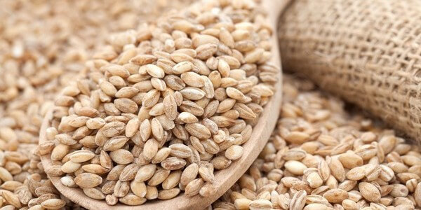 Пищевая ценность и гликемический индекс круп и каши