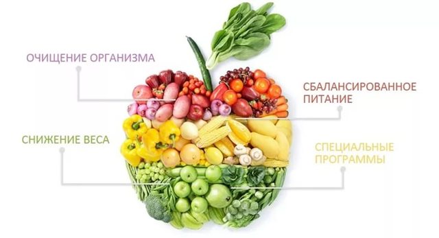 Pawet: Эффективные методы снижения холестерина