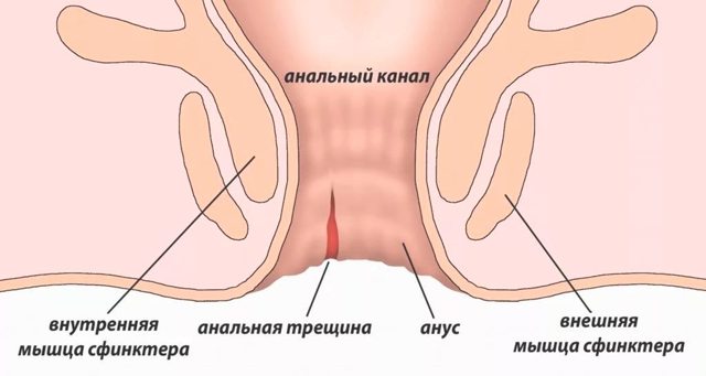 Гепатромбин - инструкция, отзывы, применение