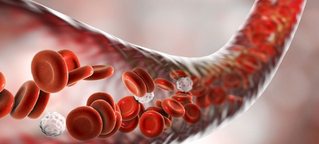 Застой в малом тазу у мужчин симптомы. Венозный застой крови в малом тазу и его последствия