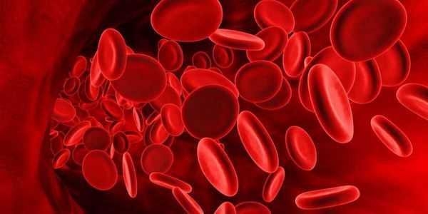 Анализ крови на билирубин - что это такое, как обозначается