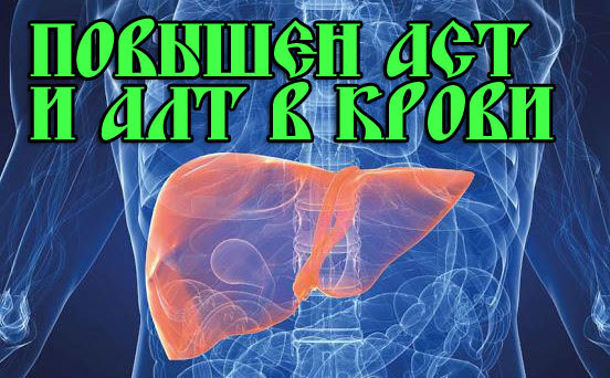 Повышены АЛТ и АСТ в крови у взрослого, ребенка в 2-3 раза: что это значит?