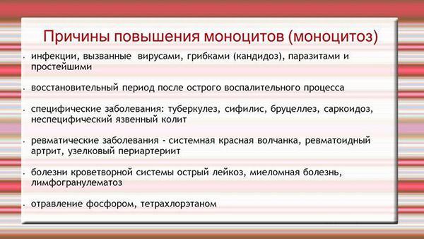 Моноциты - что это такое и какую функцию в крови они выполняют, показатели нормы моноцитов и методы лечения при их отклонениях