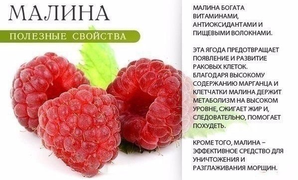 Малина повышает или понижает давление?