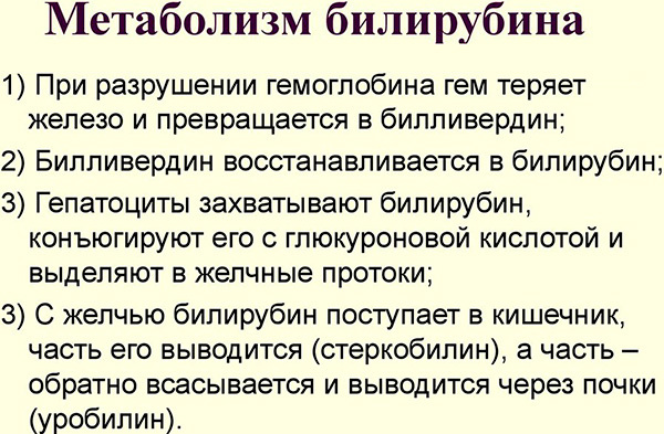Какова норма билирубина в крови у взрослого человека? Основные показатели.