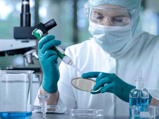 Вирус гепатита С (Hepatitis C Virus), качественное суммарное определение антител, ИФА (anti-HCV, кач.)
