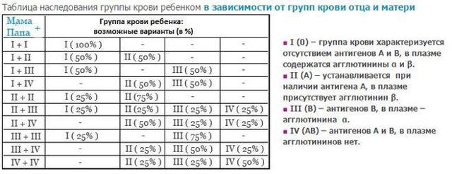 Характеристика людей с 1 положительной группой крови
