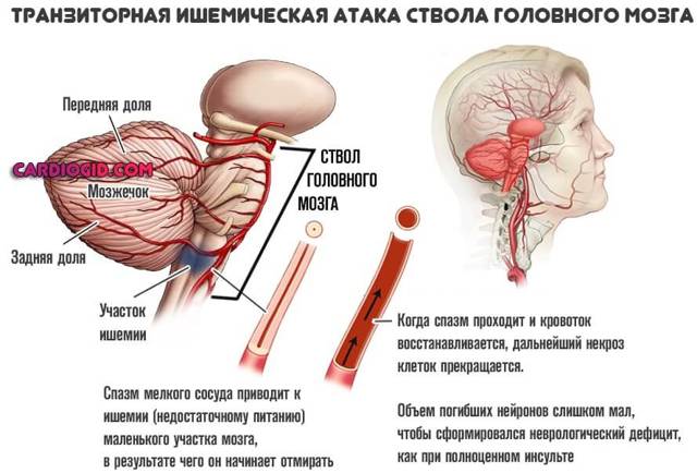 Как на человека влияет пониженное и повышенное атмосферное давление?