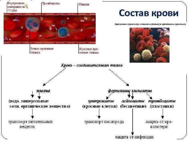 Изменения физико-химических свойств крови