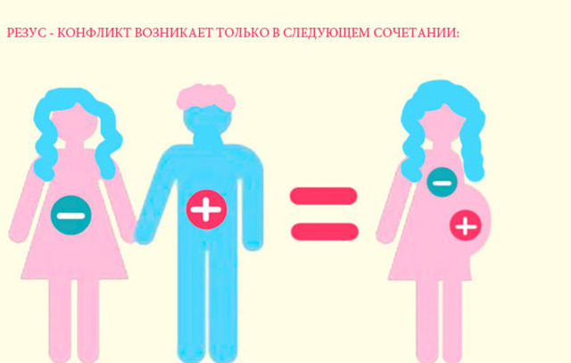 Четвертая положительная группа крови: совместимость и причины несовместимости