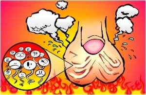 Видео операции варикоцеле яичка: процесс и исход