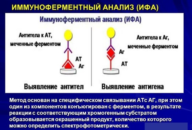 Профилактика лейкоза, Меры борьбы с лейкозом - Лейкоз скота