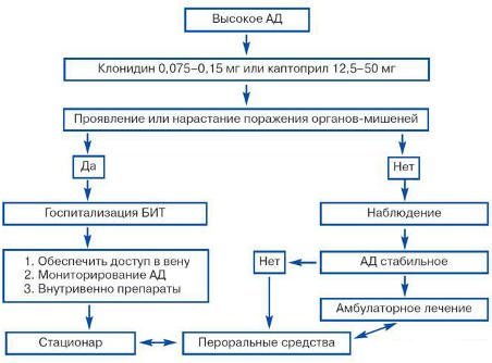 Неотложная помощь при гипертоническом кризе - алгоритм доврачебной первой помощи