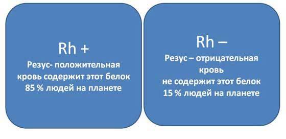 Редкая кровь какая