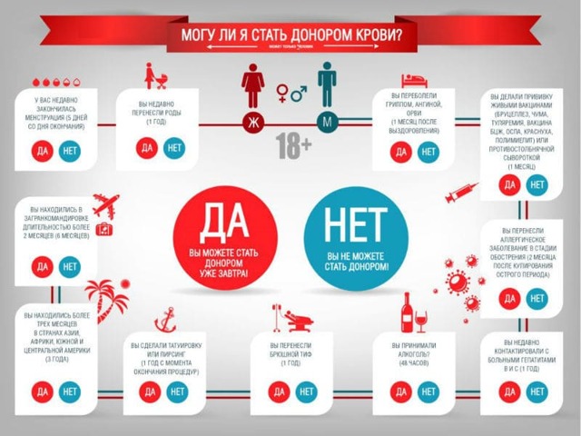 Сколько платят за сдачу крови и как часто можно сдавать