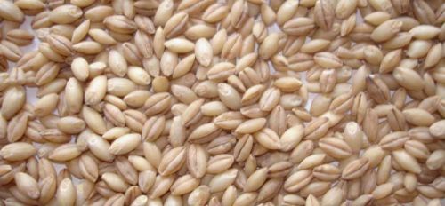 Пищевая ценность и гликемический индекс круп и каши