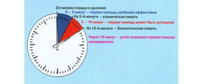 Сердечно-легочная реанимация