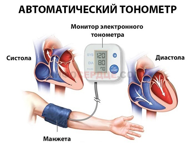 Как правильно измерить давление автоматическим тонометром?