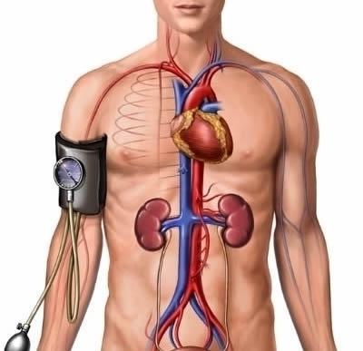 Давление 125 на 83 - Cardiologiy