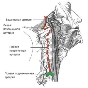 Почему появляется гипоплазия головного мозга