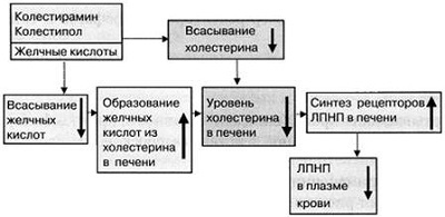 Препараты для снижения холестерина в крови: список и названия эффективных лекарственных средств
