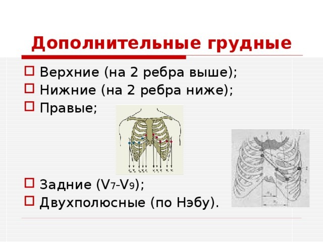 Расшифровка ЭКГ в норме и при патологии. Уроки по ЭКГ с видео