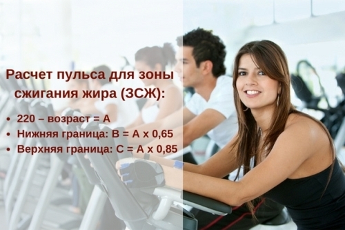 Пульс для сжигания жира калькулятор