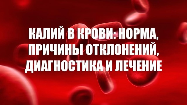 Повышенный калий в крови у взрослых и детей: что это значит, причины и симптомы, способы снижения показателя