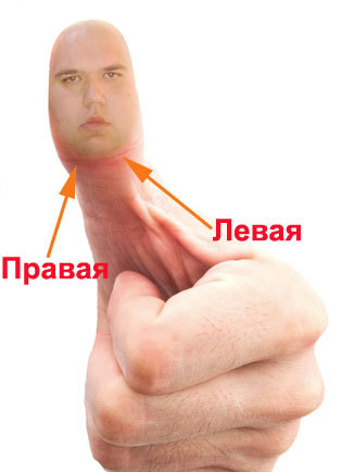 Тонзиллит: виды, фото, лечение и симптомы
