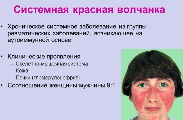 Сегментоядерные нейтрофилы повышен: у ребенка и взрослого, причины