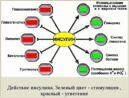 Виды анализов крови на гормоны: какой анализ сдать и когда?