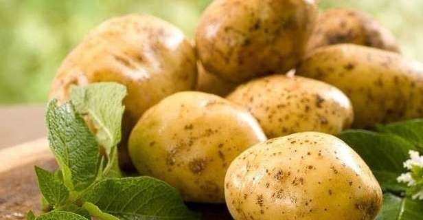 Лечение геморроя в домашних условиях быстро картофелем