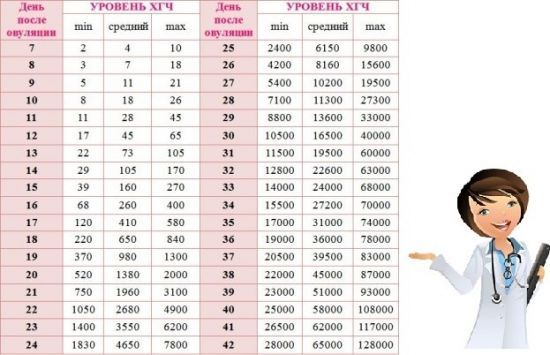 Анализ крови на ХГЧ: что это такое, когда сдавать